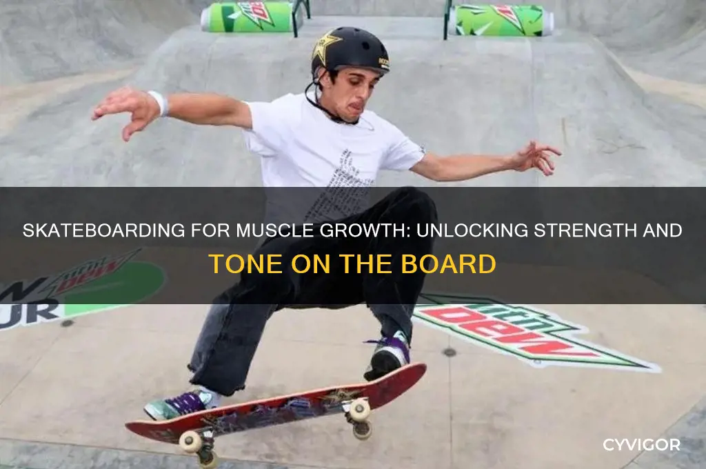 can skateboarding gain muscle