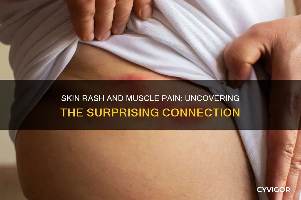 can skin rash cause muscle pain