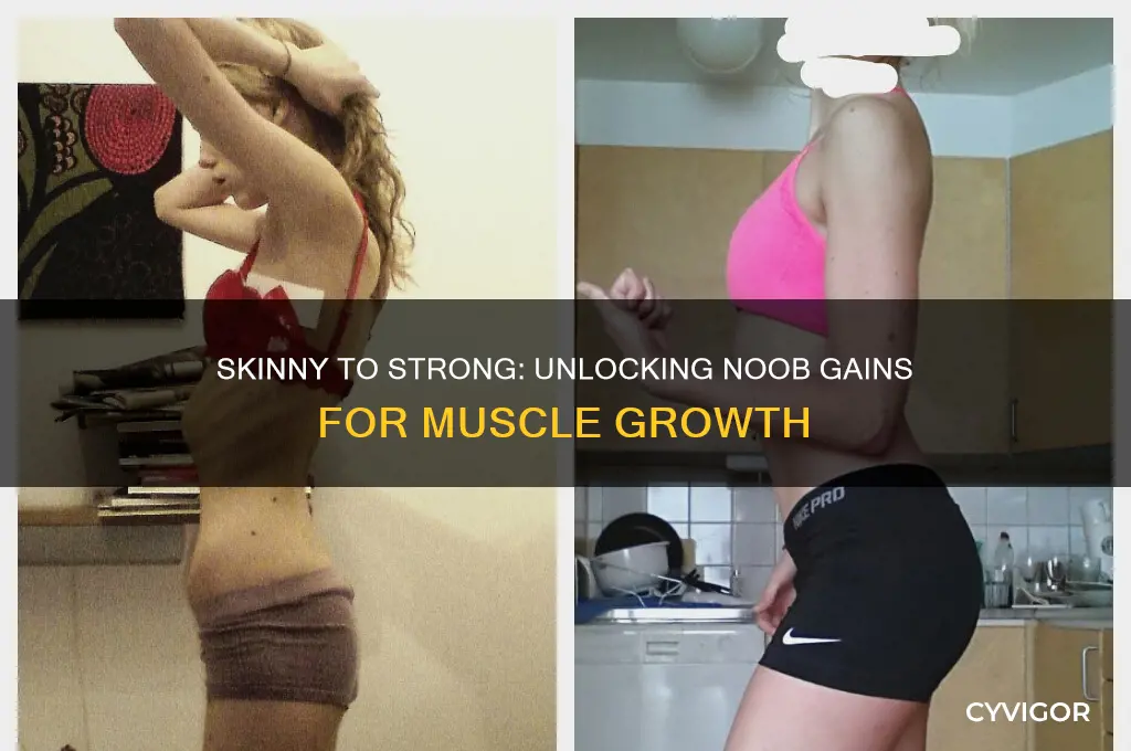 can skinny people gain more muscle noob gains