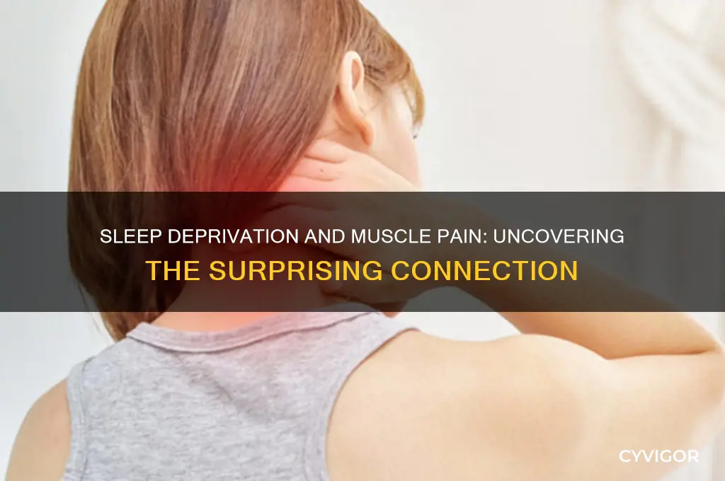 can sleep deprivation cause muscle aches