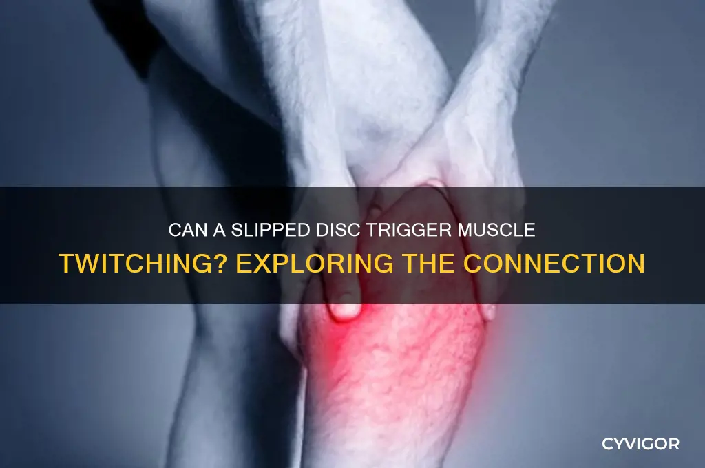 can slipped disc cause muscle twitching