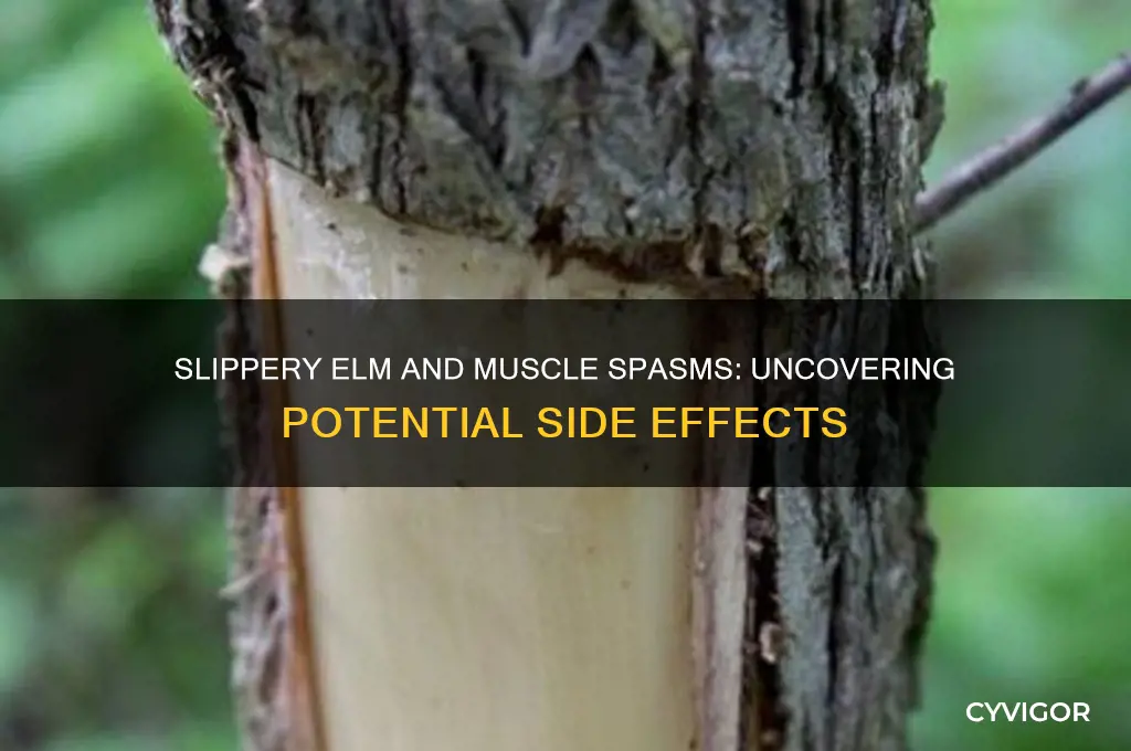 can slippery elm cause muscle spasms