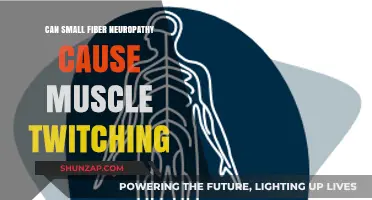Small Fiber Neuropathy and Muscle Twitching: Understanding the Connection