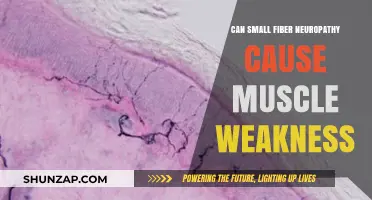 Small Fiber Neuropathy and Muscle Weakness: Understanding the Connection