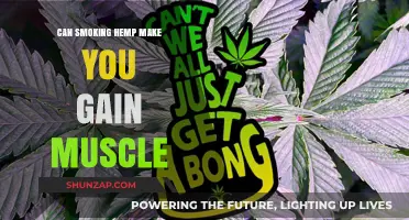 Hemp Smoking and Muscle Gain: Fact or Fiction?