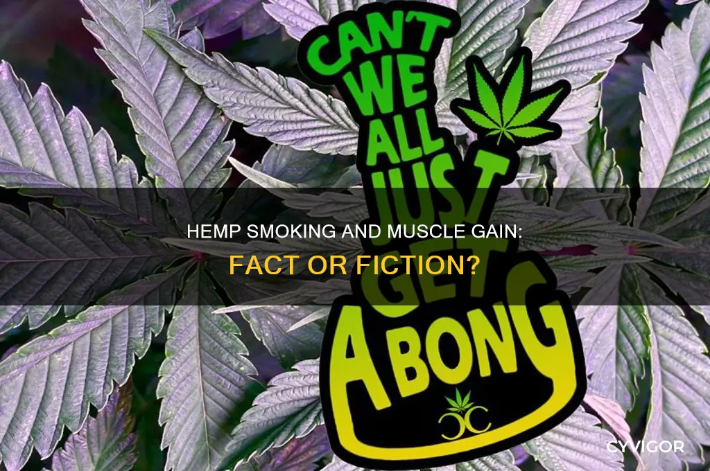 can smoking hemp make you gain muscle