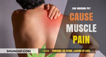 Can Smoking Pot Cause Muscle Pain? Exploring the Link