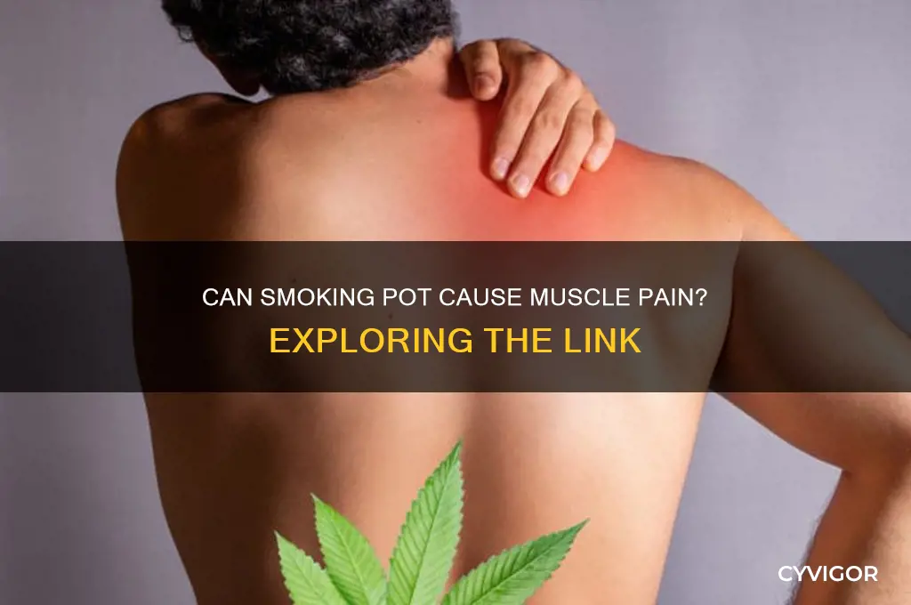 can smoking pot cause muscle pain