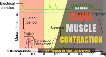 Sodium's Role in Muscle Contraction: Understanding the Essential Mechanism
