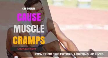 Sodium and Muscle Cramps: Unraveling the Connection for Better Health