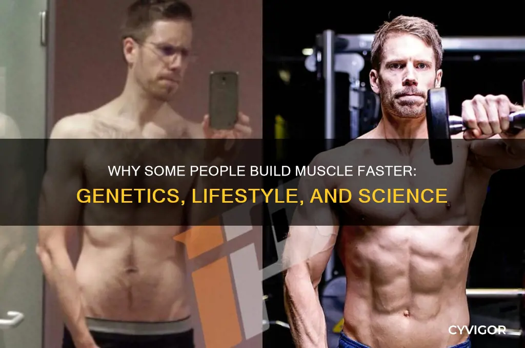 can some people gain muscle faster than others