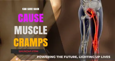 Sore Back and Muscle Cramps: Understanding the Connection and Relief