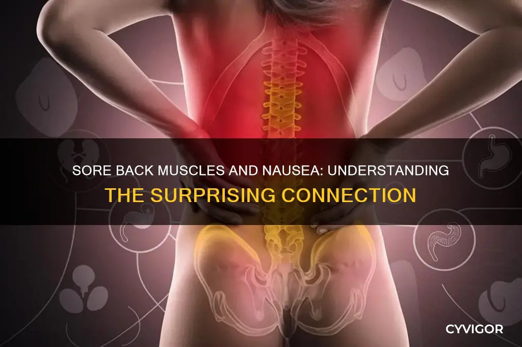 can sore back muscles cause nausea