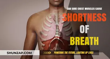 Sore Chest Muscles and Breathing: Understanding Shortness of Breath Causes