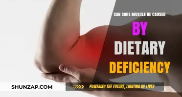 Dietary Deficiencies and Muscle Soreness: Uncovering Hidden Nutritional Links