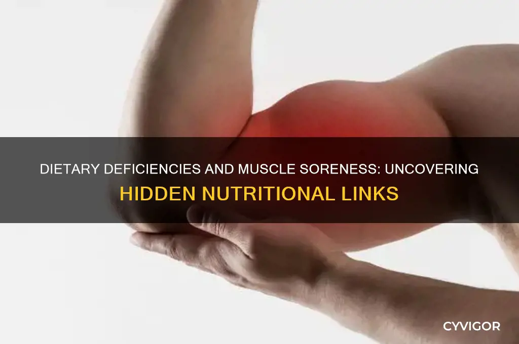 can sore muscle be caused by dietary deficiency