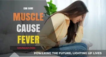 Sore Muscles and Fever: Understanding the Connection and Symptoms