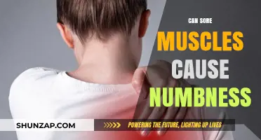 Can Sore Muscles Cause Numbness? Exploring the Surprising Connection