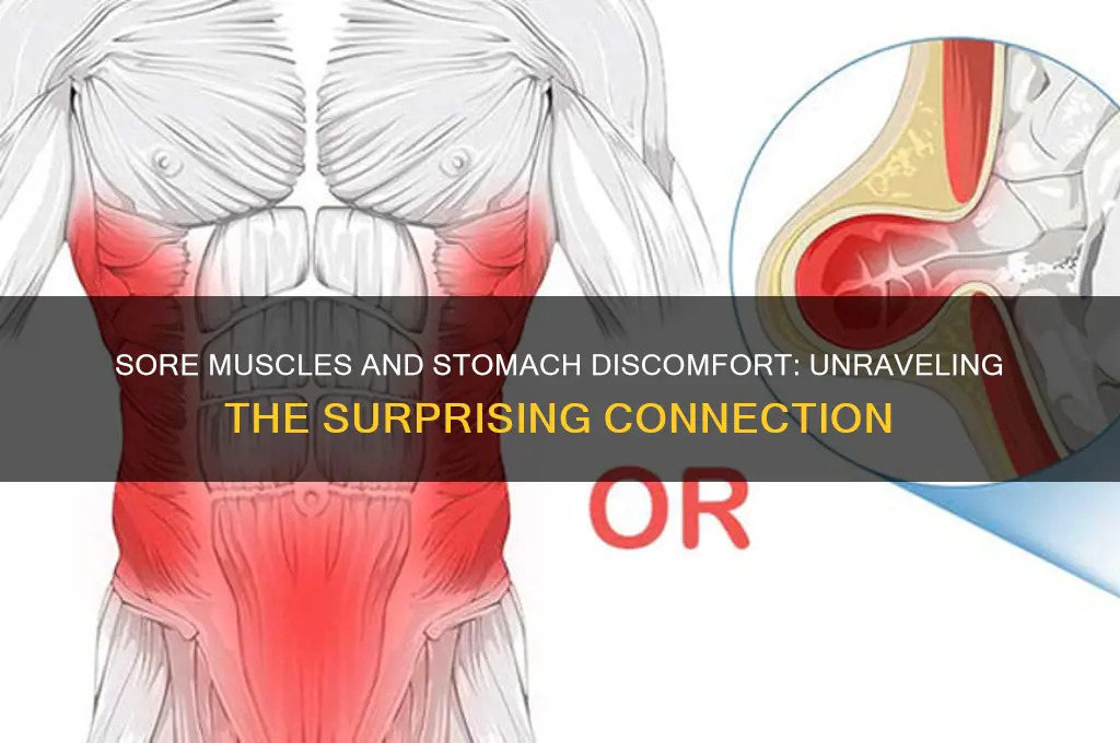 can sore muscles cause upset stomach
