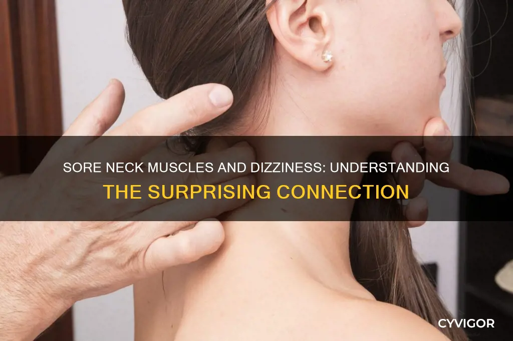 can sore neck muscles cause dizziness
