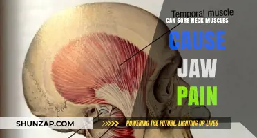 Neck Muscle Tension: Unraveling Its Link to Jaw Pain and Discomfort