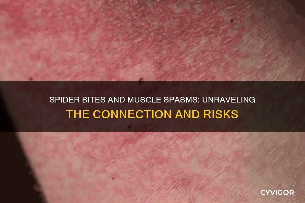 can spider bites cause muscle spasms
