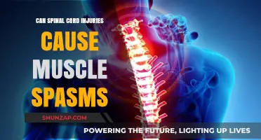 Spinal Cord Injuries and Muscle Spasms: Understanding the Connection