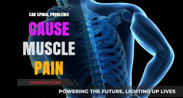 Spinal Issues and Muscle Pain: Understanding the Hidden Connection