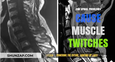 Spinal Issues and Muscle Twitches: Uncovering the Surprising Connection