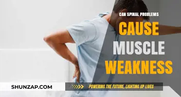 Spinal Issues and Muscle Weakness: Understanding the Connection