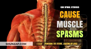 Spinal Stenosis and Muscle Spasms: Understanding the Connection and Relief