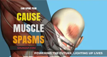 Spine Pain and Muscle Spasms: Understanding the Connection and Relief