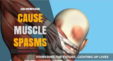 Spondylosis and Muscle Spasms: Understanding the Connection and Relief