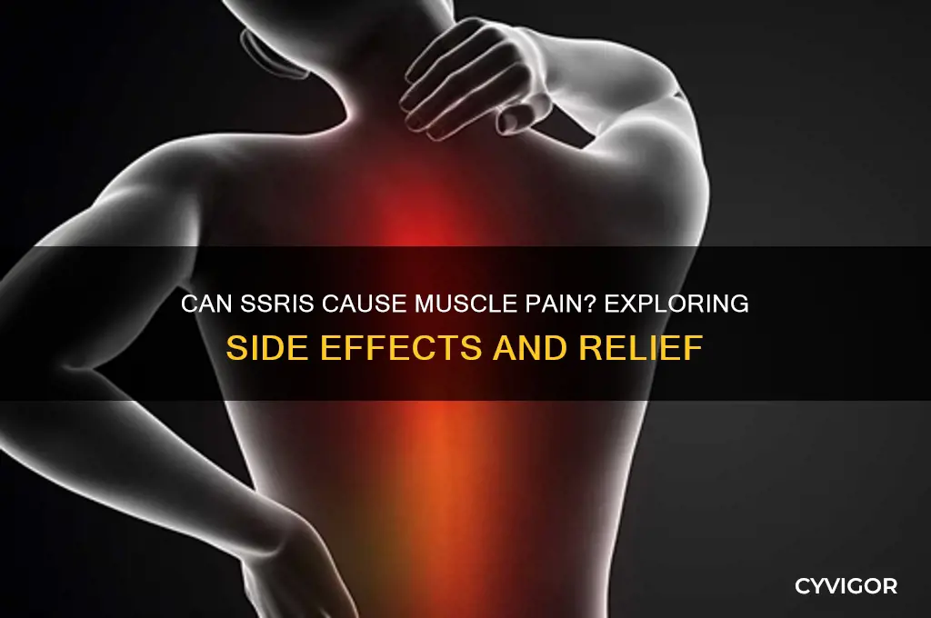 can ssri cause muscle pain