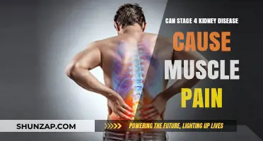 Understanding Stage 4 Kidney Disease: Muscle Pain and Related Symptoms
