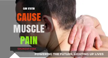 Statins and Muscle Pain: Unraveling the Connection and Potential Risks