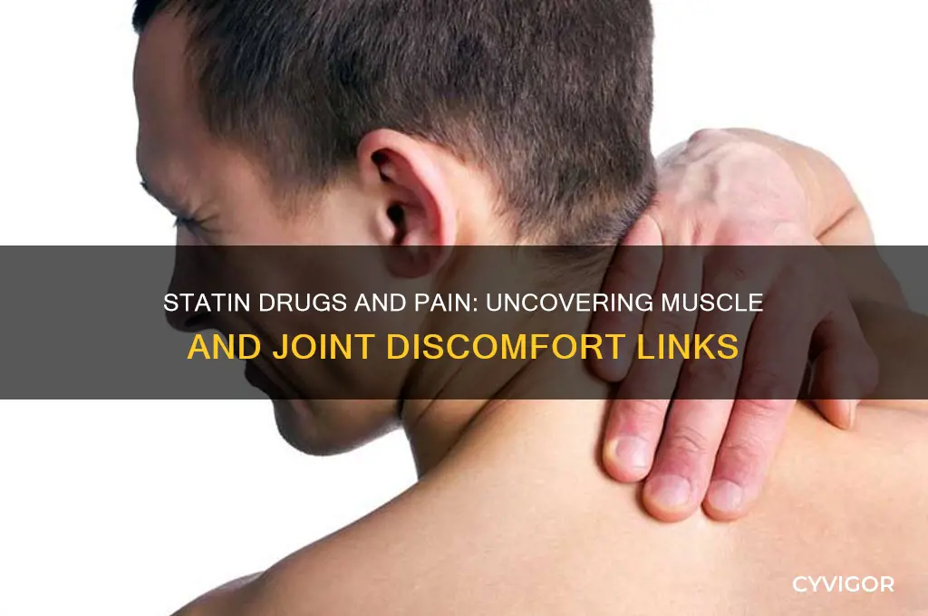 can statin drugs cause muscle and joint pain