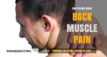 Statins and Back Muscle Pain: Unraveling the Potential Connection