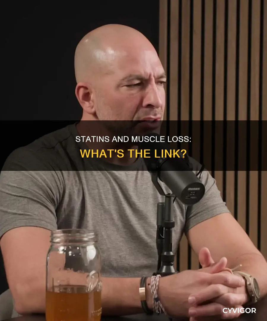 can statins cause muscle loss