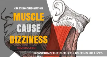 Sternocleidomastoid Muscle Tension: A Hidden Cause of Dizziness?