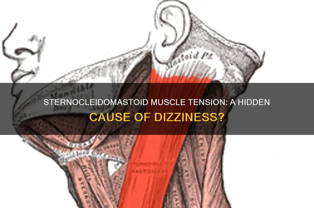 can sternocleidomastoid muscle cause dizziness