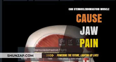 Sternocleidomastoid Muscle and Jaw Pain: Understanding the Connection