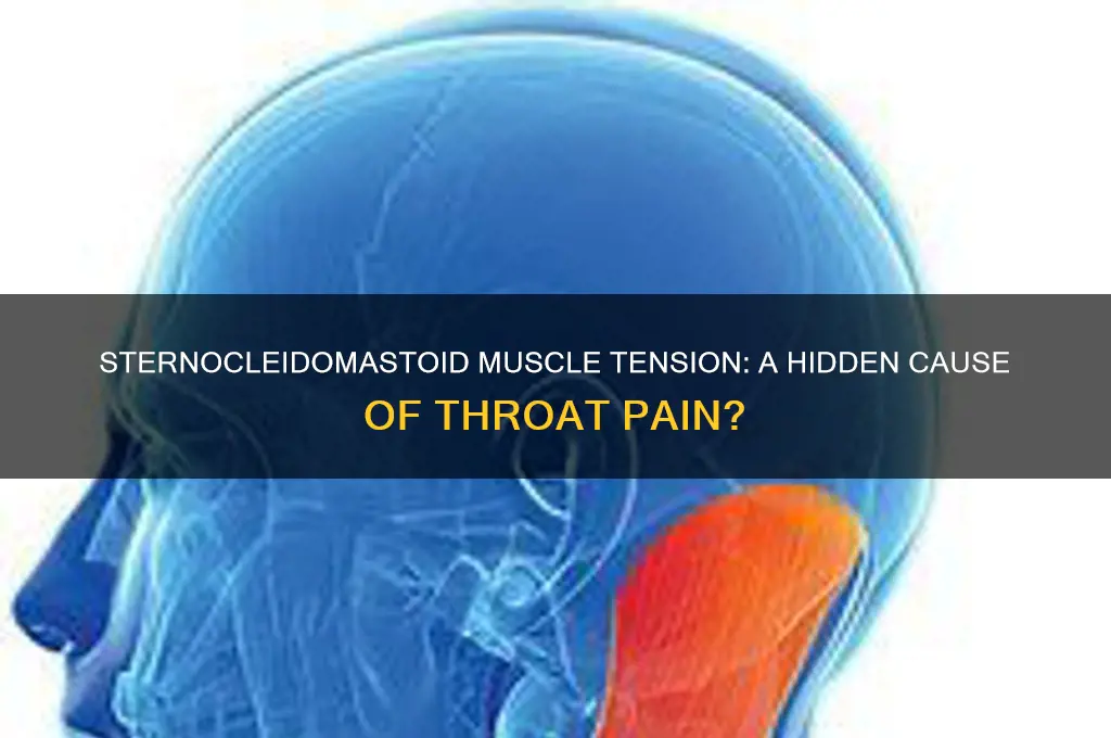 can sternocleidomastoid muscle cause throat pain