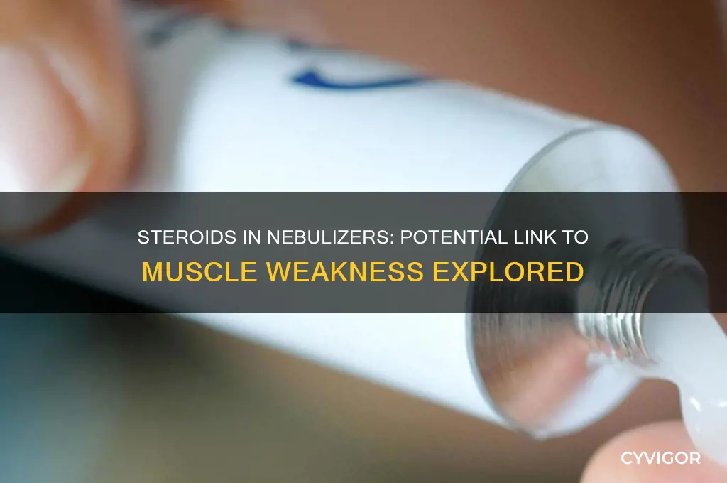 can steroids in nebulizer medicine cause weak muscles