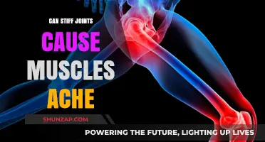 Stiff Joints and Muscle Pain: Understanding the Connection and Relief