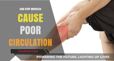 Stiff Muscles and Circulation: Unraveling the Connection to Poor Blood Flow