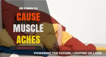 Can Stomach Flu Trigger Muscle Aches? Understanding the Connection