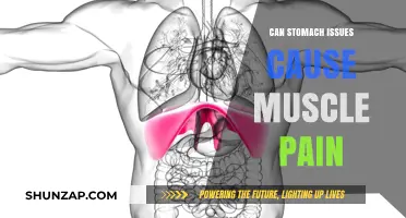 Stomach Problems and Muscle Aches: Uncovering the Hidden Connection