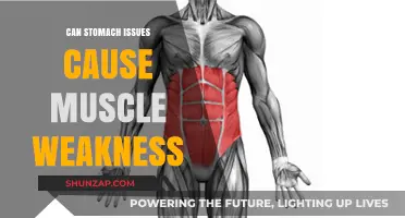 Stomach Troubles and Muscle Weakness: Unraveling the Hidden Connection