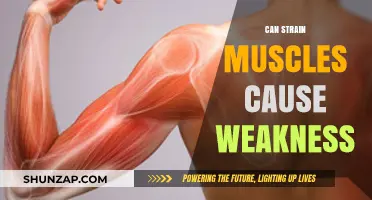 Can Muscle Strains Lead to Weakness? Understanding the Connection